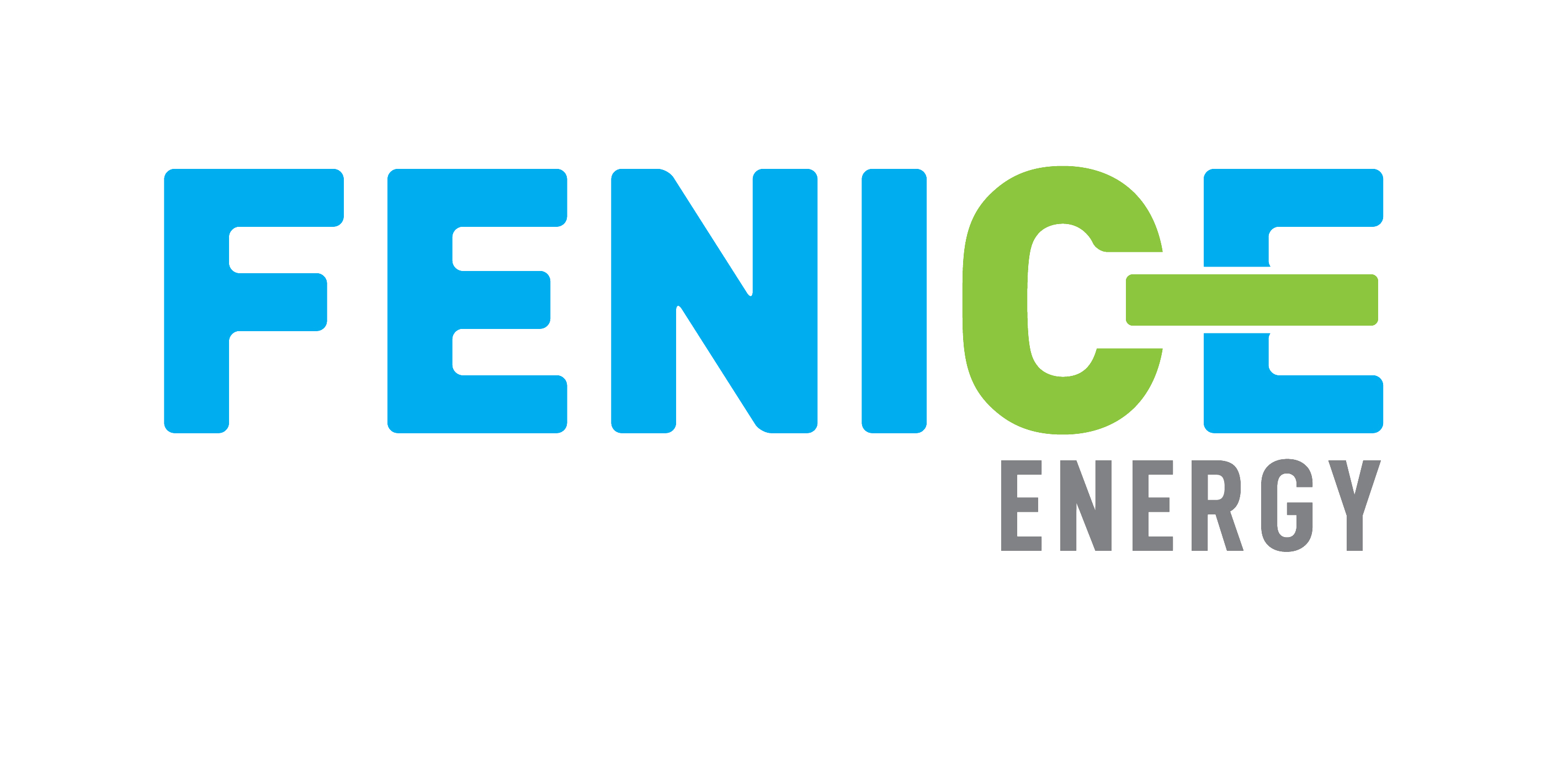 Our Client: Fenice Energy